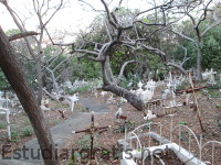cementerio abandonado